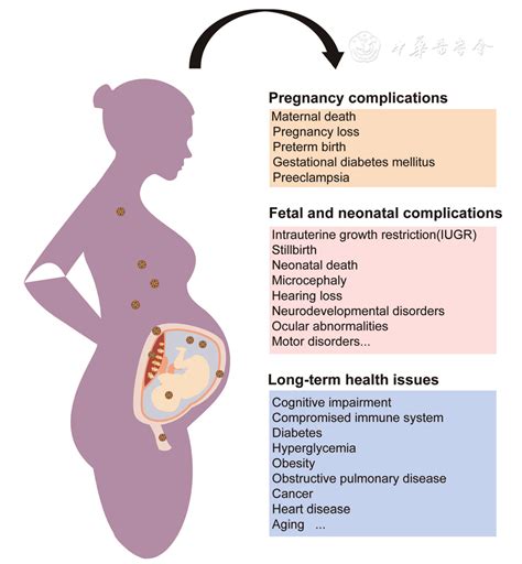 viral meningitis exposure during pregnancy